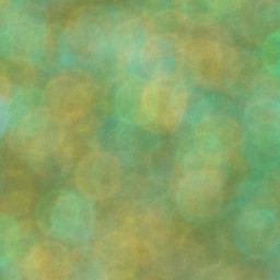 Bokeh-481